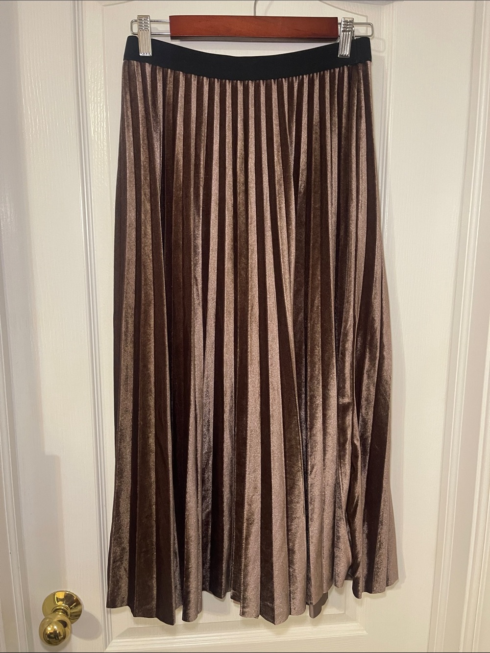 Pleated Velvet Maxi Skirt - brownish mauve